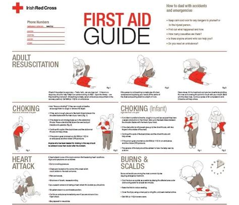 First Aid Guide Poster