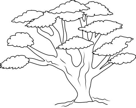 Oak Tree Coloring Page - Free Clip Art