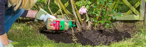Essentially, the cost of lawn care pays for itself in these circumstances. Applying Plant Feed & Fertilizer | Love The Garden