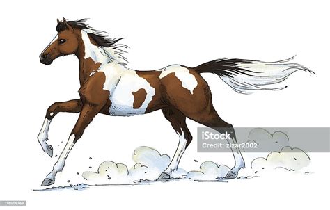 Pinto Horse Gallop Stock Illustration Download Image Now Istock