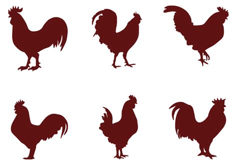 Fighting Rooster Silhouette At Getdrawings Free Download