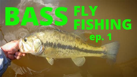Bass Fly Fishing Ep1 How To Youtube