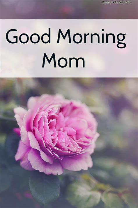 Mom Morning Telegraph