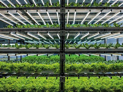 Dalam video ini saya bawa anda ke ladang hidroponik dft terbesar di malaysia milik hma hydrofarms malaysia di bt.8 ijok, batang berjuntai(bestari jaya),selangor. How India's Hydroponic Farmers Are Building Businesses ...