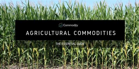 Agricultural Commodities Learn How To Trade Them At