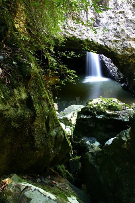 Natural Bridge Waterfall Cave Stock Photo Image Of Queensland