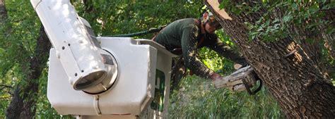 · inform shift managers 2 days prior to cull taking place. Tree Care Services