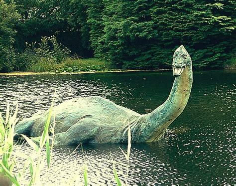Our obsession with the loch ness monster shows no signs of dwindling. THE LOCH NESS MONSTER