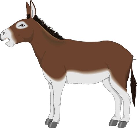 Download High Quality Donkey Clipart Brown Transparent Png Images Art