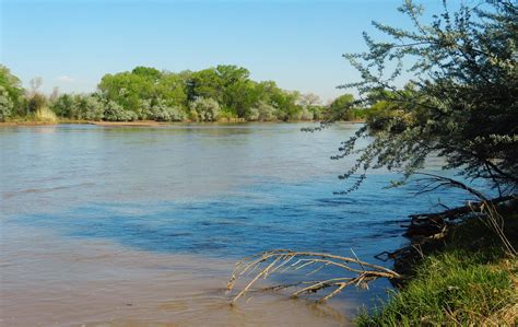 The Real River Rio Grande Albuquerque Nm Rio Grande Flickr