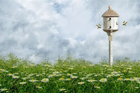 Background pemandangan taman bunga 1 background check all. WALLPAPER TAMAN BUNGA | Gambar Kartun Lucu dan Wallpaper ...