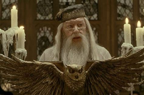 Only wizard that voldemort ever feared. Sexualidad de Dumbledore y 10 secretos revelados de Harry ...