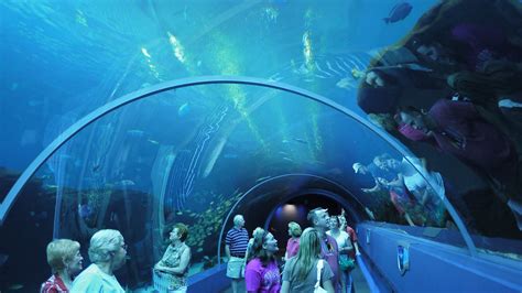 Georgia Aquarium In Atlanta Usa