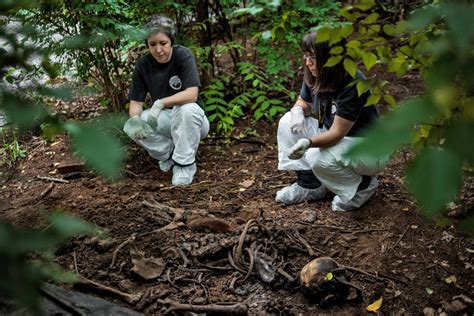 We did not find results for: What Dead Pigs Can't Teach Us About 'C.S.I.' - The New ...