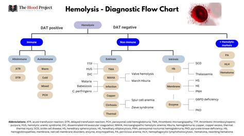15 Diagnostic Flow Chart For Hemolysis See Graphic Notes 1 Immune