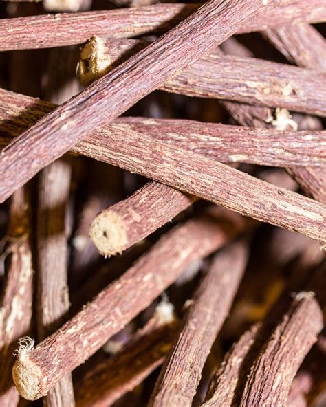Licorice Root Cellular Extract Native Extracts