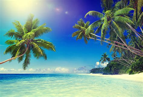 Tropical Paradise Beach Wallpaper For Bedroom Wall Decor