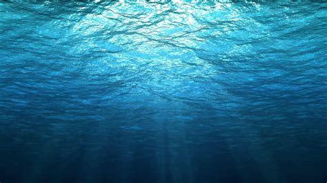 Underwater Wallpapers Top Free Underwater Backgrounds Wallpaperaccess
