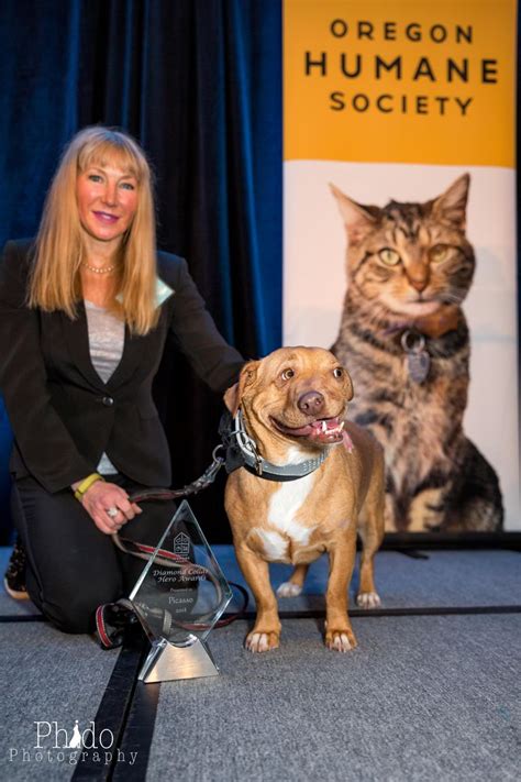 Lane county, eugene, or read more ». Dog Rescue Eugene | Top Dog Information