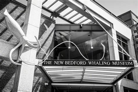 Whaling Museum New Bedford Collection
