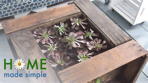 This Succulent Planter Coffee Table Is What Every Backyard