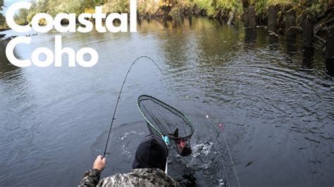 Small Coastal River Coho Fishing - YouTube