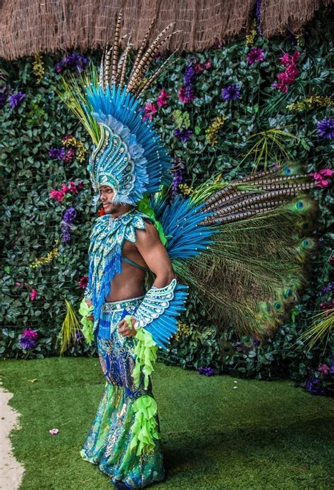 Pin By Laura Alvite On Inspiration For Writing Rio Carnival Costumes
