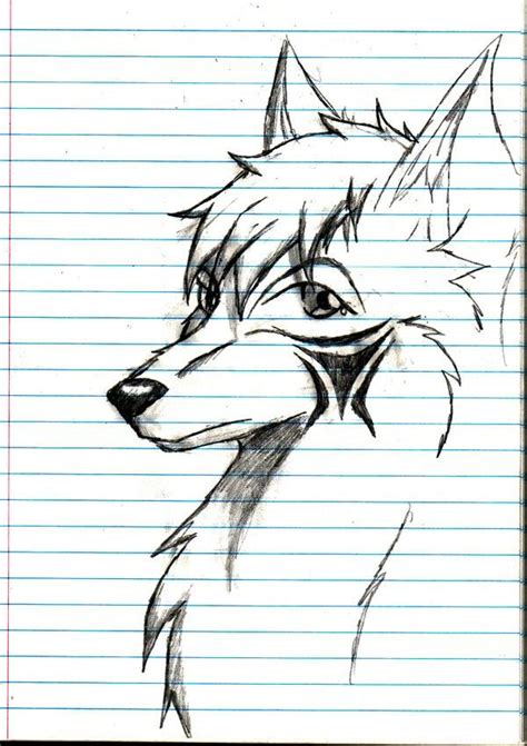 Anime Wolf Anime Wolf Drawing Anime Wolf Wolf Sketch
