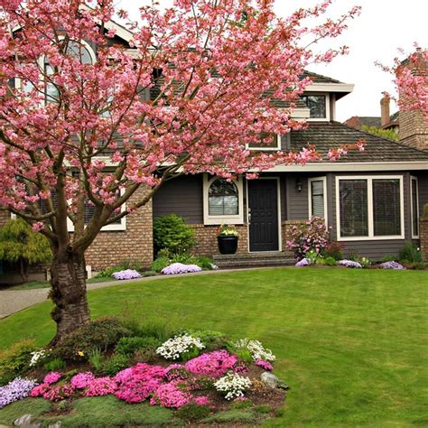 10 Tips for Landscaping Around Trees | Family Handyman