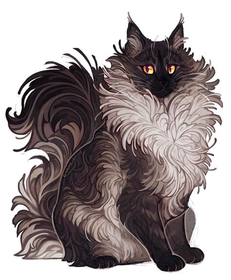 Fluffy Cat Drawing Reference Dogs And Cats Wallpaper