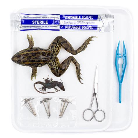 Dissection Kits Our Kits Feature Easy To Use Clear Instructions