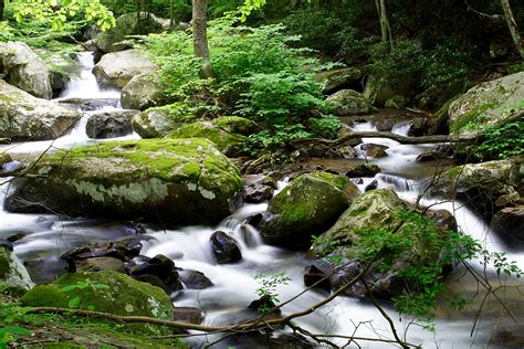 10 Spectacular Hidden Waterfalls In West Virginia