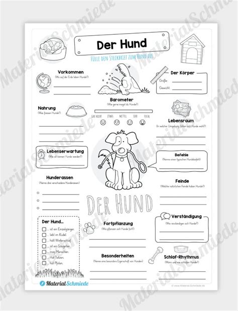Speichere die vorlage in deinem ordner. Steckbrief Hund