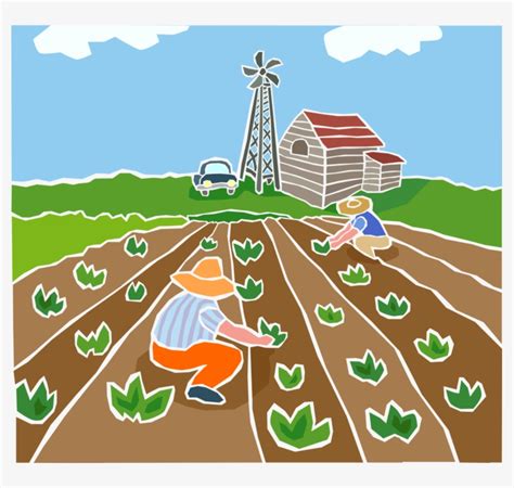 Farmers Planting Crops Royalty Free Vector Clip Art Agricultura Vetor