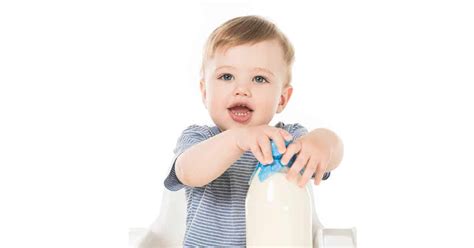 Plus with too much milk, your toddler's little belly will be too full to eat all the other healthy foods you're now providing during the day. The Best Milk for Babies After 1 - Baby Led Weaning ...
