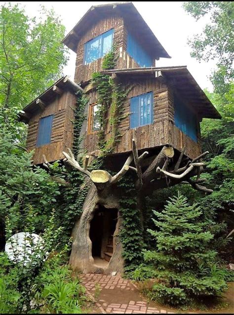 Possibly The Greatest Tree House Ever In 2020 Cool Tree Houses Tree