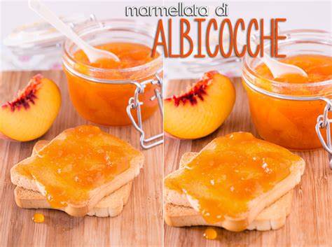 La marmellata di albicocche è una confettura da fare in casa perfetta per l'estate, quando questo frutto invade gli scaffali dei supermercati e dei negozi alimentari. Ricette Marmellata: Marmellata di Albicocche - Vivere Meglio