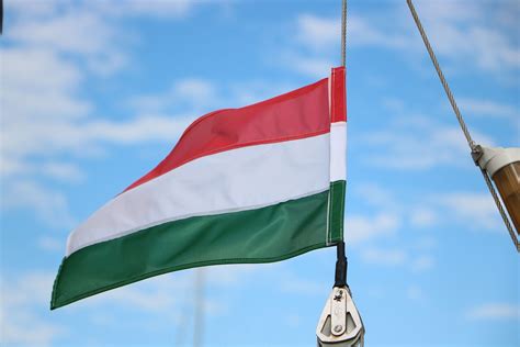 Ez az év bebizonyította, hogy mi, magyarok valóban összetartozunk ...