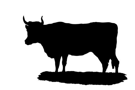 Cow Silhouette Clipart Clip Art Free Clip Art Silhouette
