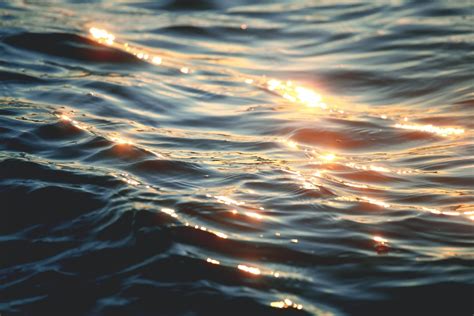 Water Light Pictures Download Free Images On Unsplash