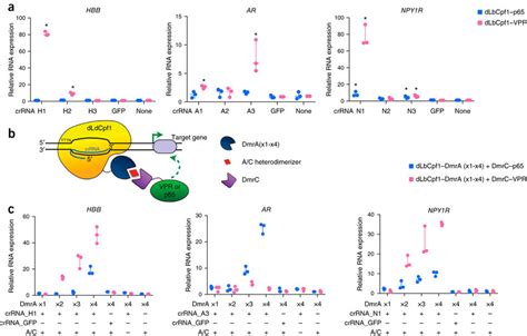 Targeted Human Endogenous Gene Regulation Using Individual Crrnas With