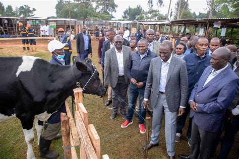 Frank Mtetezi ʙᴀꜰ💧🇰🇪 On Twitter Today President William Ruto Dp