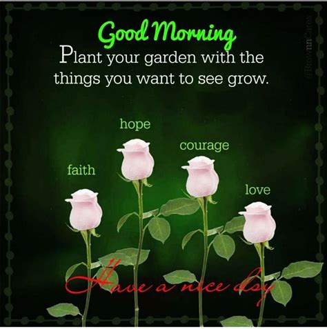 Good Morning Blessings Messages For Her Morning Walls