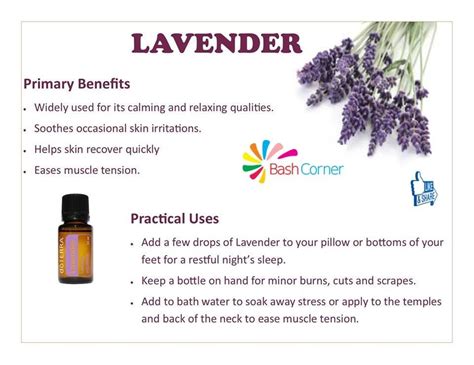 Health Benefits Of Lavender Lavender Benefits Lavender Aromatherapy