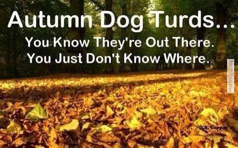 14 Fall Memes So You Can Usher In The Greatest Season Of Them All With