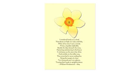 Daffodil ~ Wordsworth Poem Postcard Zazzle