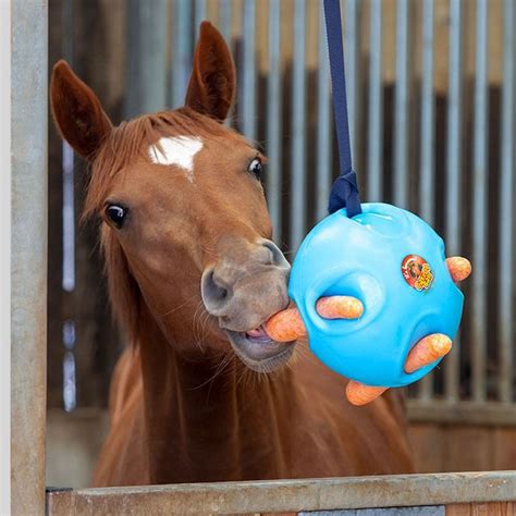 Its Horsesome Carrot Ball Enrichment Horse Toy Paddock Saddlery