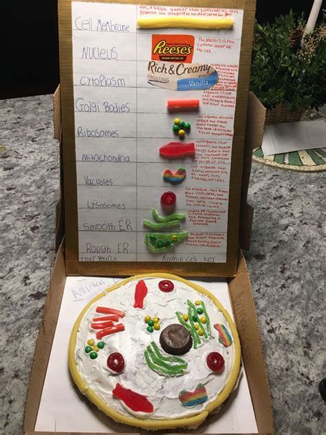 Maybe you would like to learn more about one of these? edible human cell models printable - Google Search ...