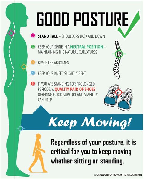 Straighten Up Canada The Importance Of Good Posture For Spine Health