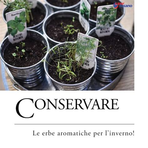 In questo modo avrete ottenuto delle comode monoporzioni di. CONSERVARE LE ERBE AROMATICHE PER L'INVERNO ...